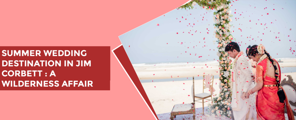 Summer Wedding Destination in Jim Corbett : A Wilderness Affair