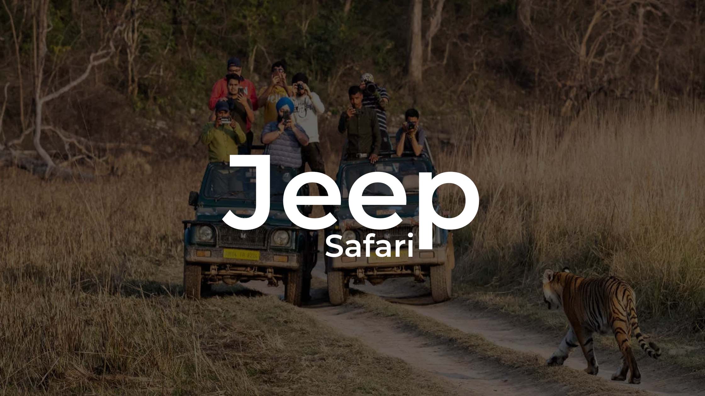 jeep safari with adventure activities in jim corbett