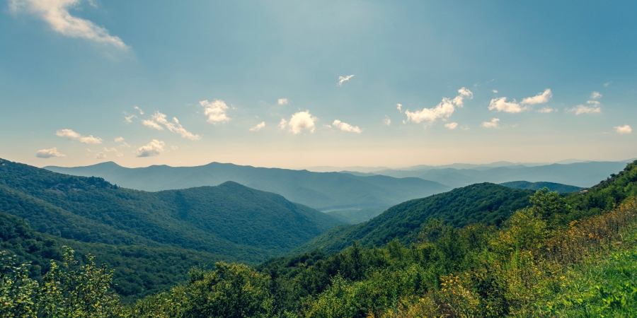 Aahana – The Corbett Wilderness