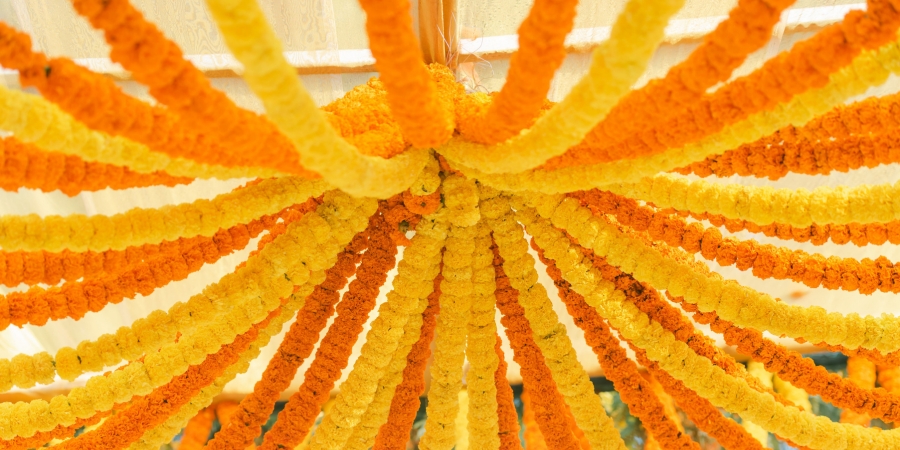 How Wedding Planners Make Your Eco-Friendly Dream a Reality
