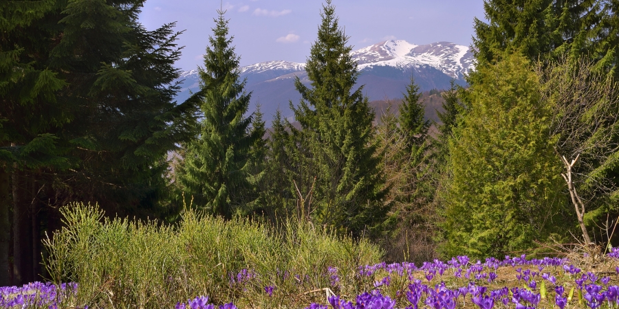Decor Ideas That Match the Beauty of the Hills